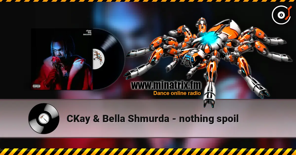 CKay & Bella Shmurda - nothing spoil écouter en ligne en haute qualité | Minatrix.FM