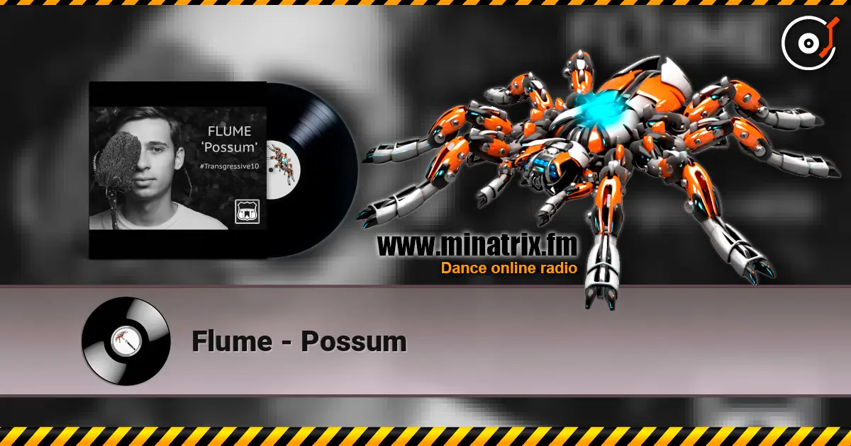 Flume - Possum écouter en ligne en haute qualité | Minatrix.FM