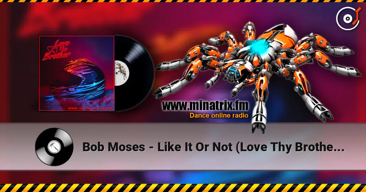 Bob Moses - Like It Or Not (Love Thy Brother Remix) écouter en ligne en haute qualité | Minatrix.FM