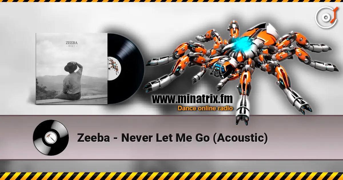 Zeeba - Never Let Me Go (Acoustic) écouter en ligne en haute qualité | Minatrix.FM