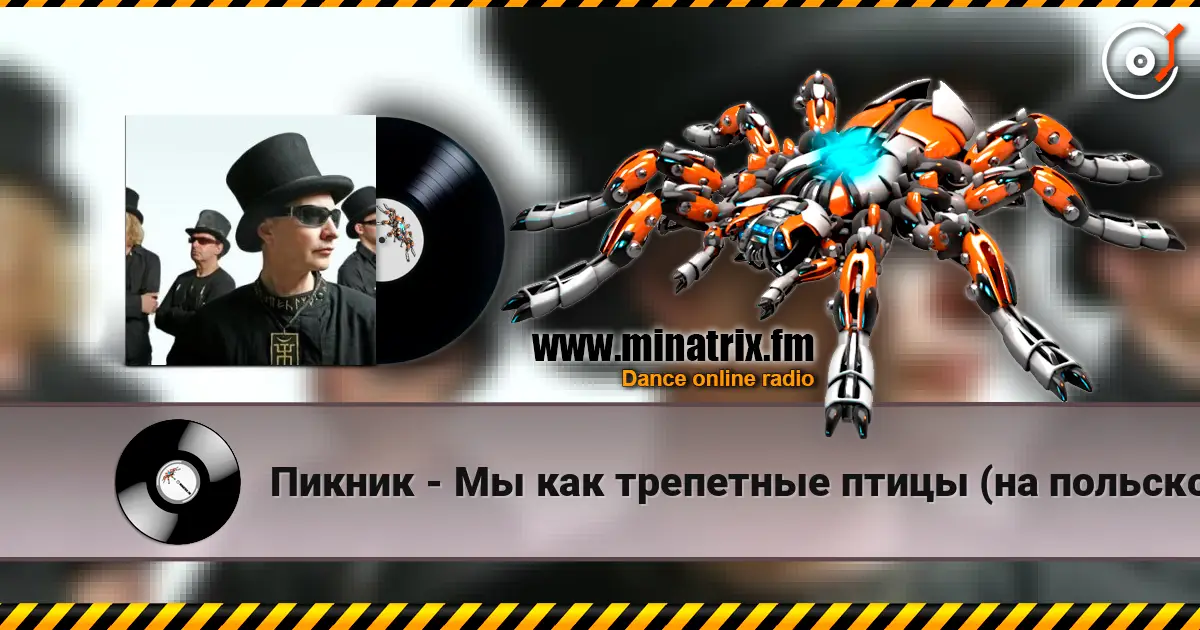 Пикник - Мы как трепетные птицы (на польском языке) écouter en ligne en haute qualité | Minatrix.FM