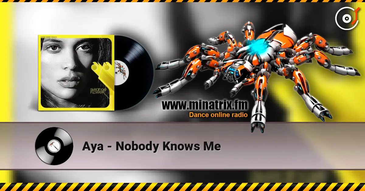 Aya - Nobody Knows Me écouter en ligne en haute qualité | Minatrix.FM