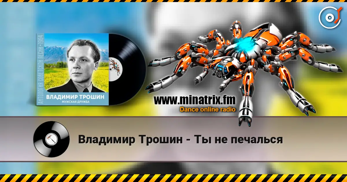 Владимир Трошин - Ты не печалься écouter en ligne en haute qualité | Minatrix.FM