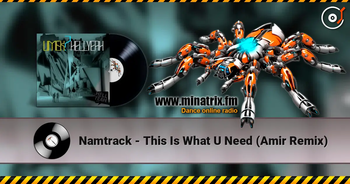 Namtrack - This Is What U Need (Amir Remix) écouter en ligne en haute qualité | Minatrix.FM