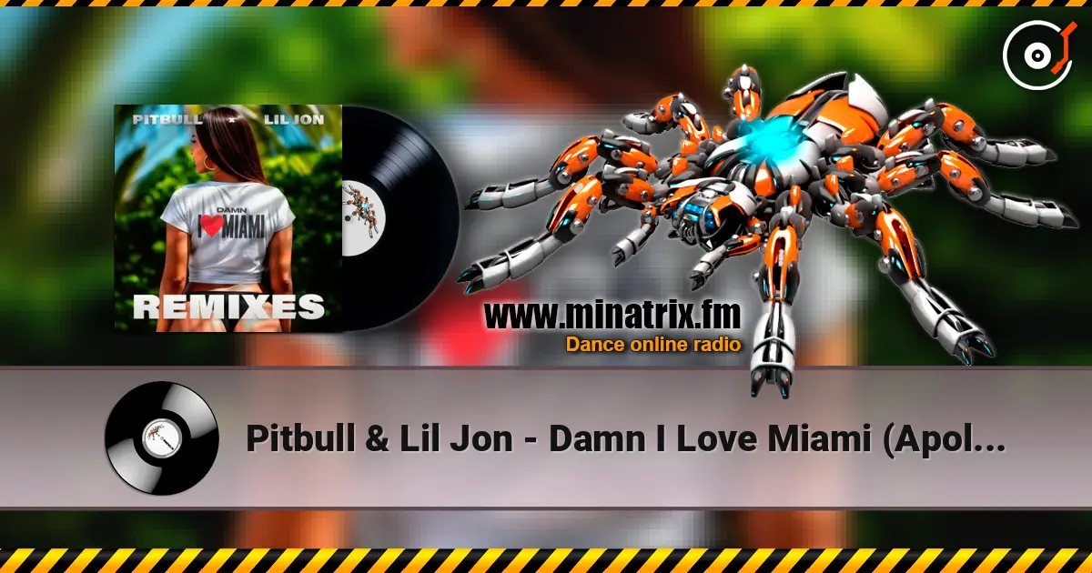 Pitbull & Lil Jon - Damn I Love Miami (Apollo XO Remix) écouter en ligne en haute qualité | Minatrix.FM