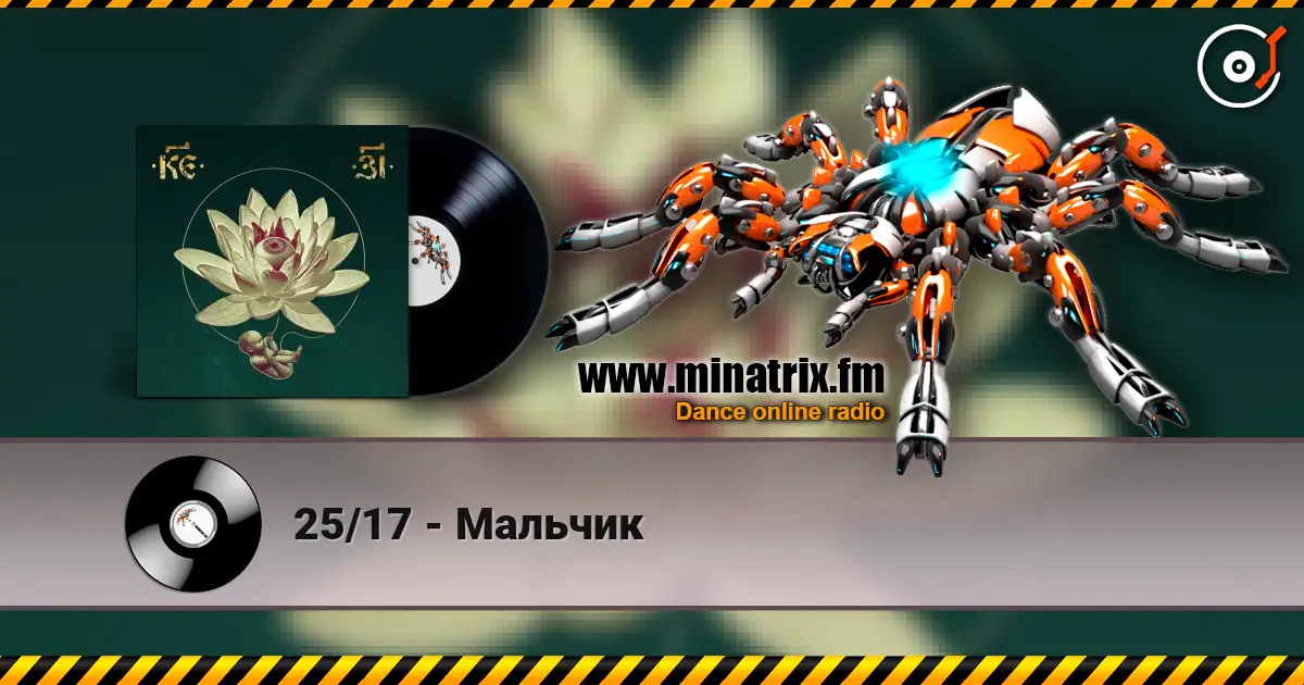 25/17 - Мальчик écouter en ligne en haute qualité | Minatrix.FM