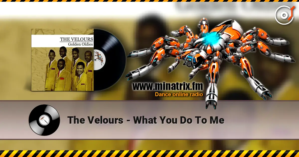 The Velours - What You Do To Me écouter en ligne en haute qualité | Minatrix.FM