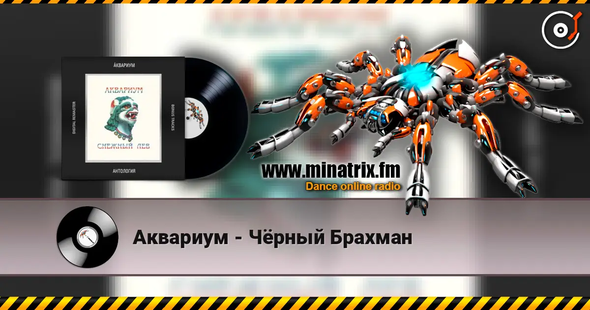 Аквариум - Чёрный Брахман écouter en ligne en haute qualité | Minatrix.FM