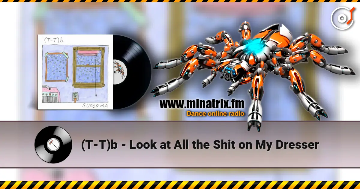 (T-T)b - Look at All the Shit on My Dresser écouter en ligne en haute qualité | Minatrix.FM