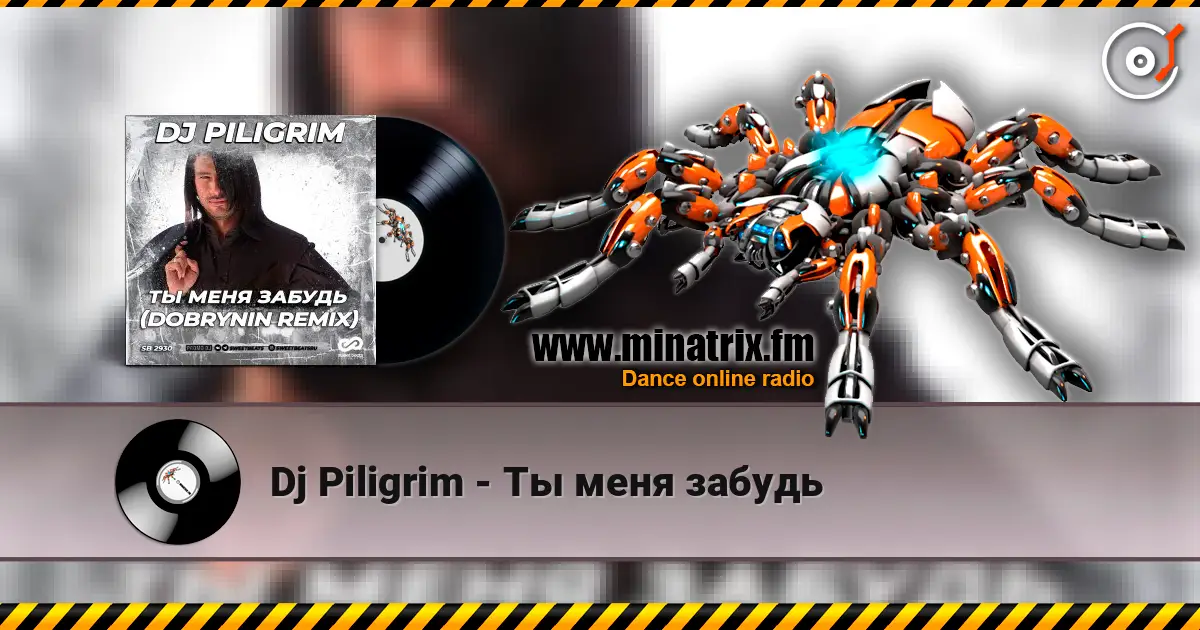 Dj Piligrim - Ты меня забудь écouter en ligne en haute qualité | Minatrix.FM