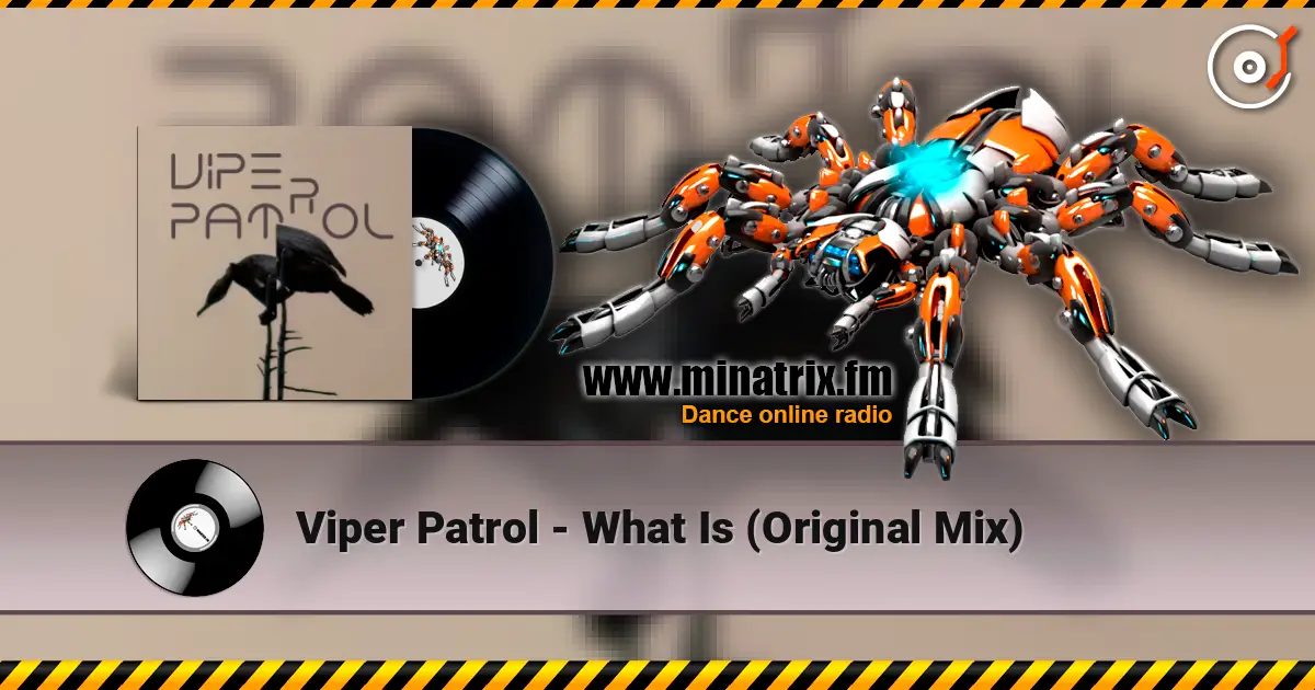 Viper Patrol - What Is (Original Mix) écouter en ligne en haute qualité | Minatrix.FM