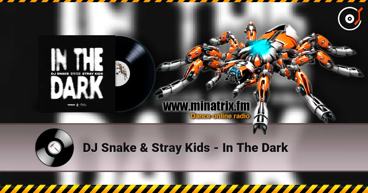 DJ Snake & Stray Kids - In The Dark écouter en ligne en haute qualité | Minatrix.FM