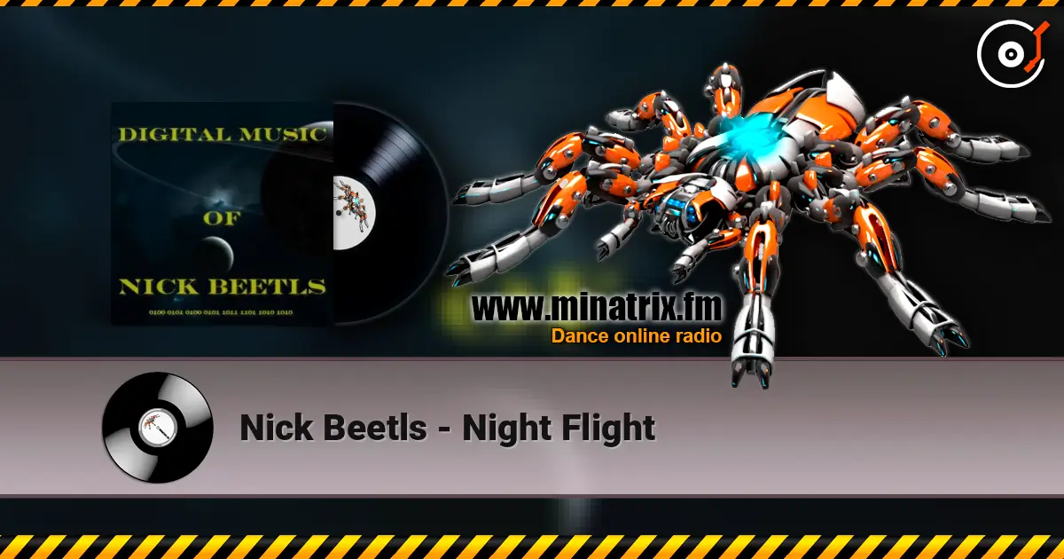 Nick Beetls - Night Flight écouter en ligne en haute qualité | Minatrix.FM